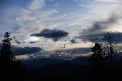 DSC_6805 (Large).JPG